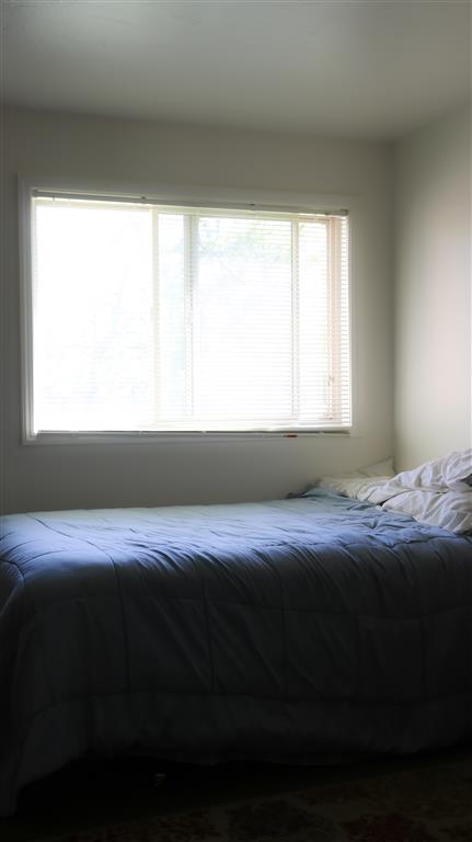 Gallery Photo 34